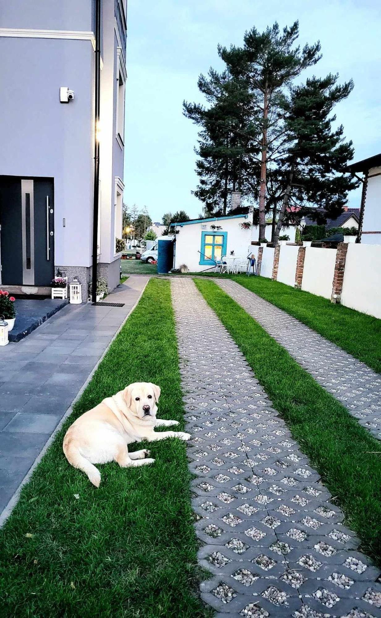 Villa Blue Mare Ustronie Morskie Luaran gambar